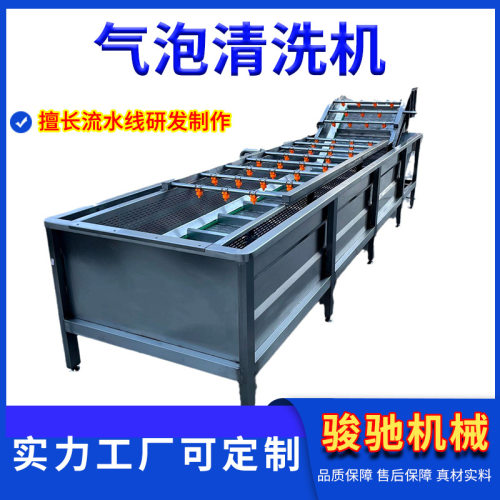 食堂净菜加工设备 厂家商用气泡清洗机  全自动果蔬清洗流水线