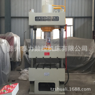 泰力销售四柱液压机160吨鱼饵压块液压机小型三梁四柱油压机数控