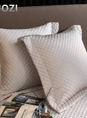 140支长绒棉靠垫枕套夹棉纯色大抱w枕50*50CM床品60*60*80一对纯