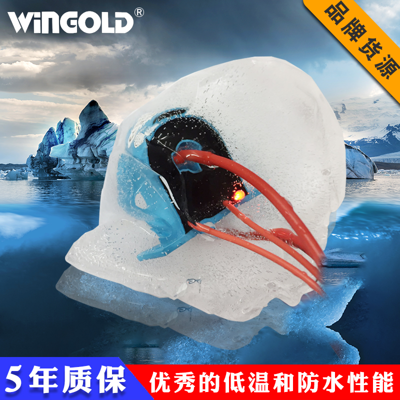 炜固 无源AC0.1A 0.5A 1A 防水电流感应开关 LC10 固定动作电流