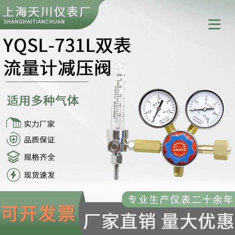 双表标准气体流量计减压阀压力表YQSL-731L-1.5L25L钢瓶流量计