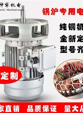 锅炉风机电机耐高温隔热加长轴电机电动机马达YNQ5-47引风机纯铜