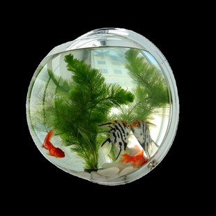 草缸壁挂鱼缸花瓶挂式 饰立体亚克力墙贴背景墙家居饰品 花盆墙上装