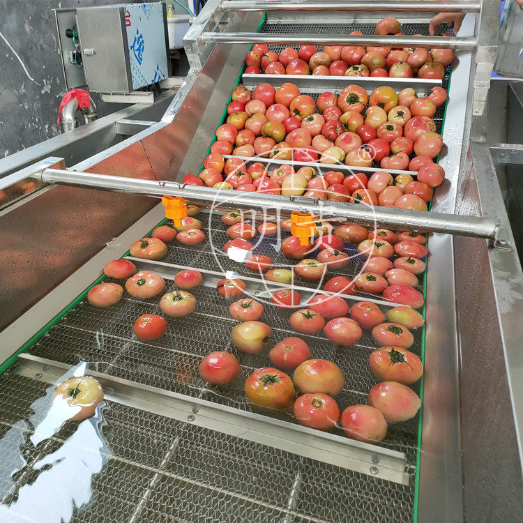 果蔬气泡清洗机土豆片高压喷淋冲洗机不锈钢涡流洗菜机厂家优惠