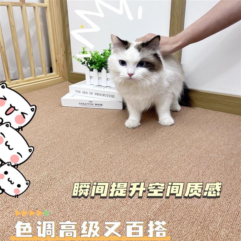 仿剑麻仿猫抓地毯摄影棚客厅卧室日式榻榻米茶室大面积满铺可剪裁
