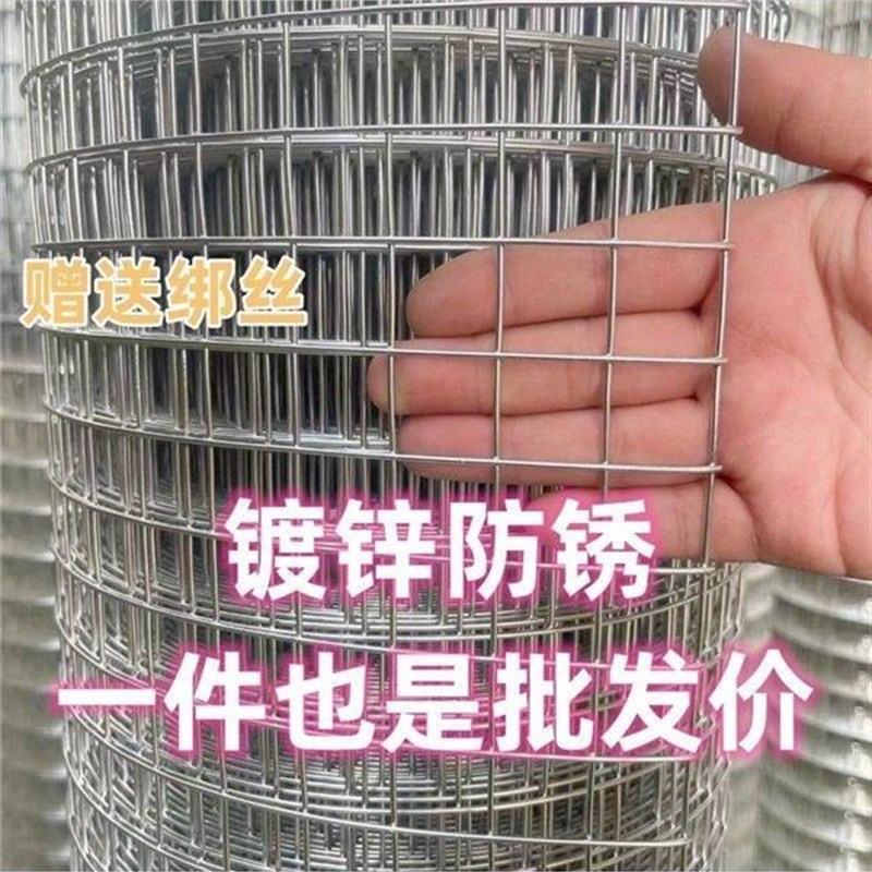热镀锌钢丝网加粗超硬铁丝网鸡鸭鹅养殖网封窗网防猫防护铁网格网