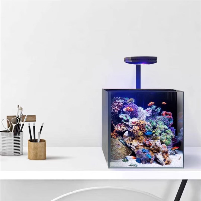30方背滤海缸套餐二狗水族v新款玻璃小方缸珊瑚桌面新手微缸海水