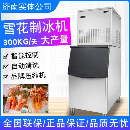 00kg-500kg商用雪花制冰机大型火锅店生鲜超市保鲜制冰机