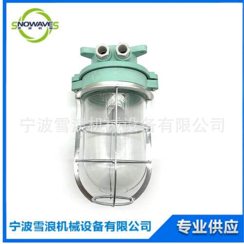 792062船用作业灯DS7-4M防水壁灯 船舶水密白炽作业灯树脂防阻燃