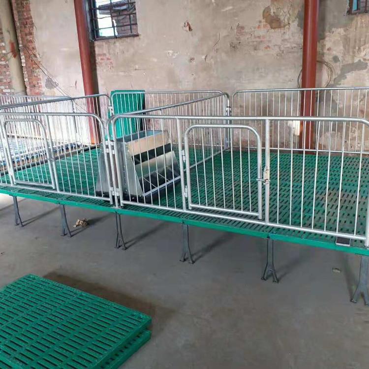 双体猪床保育床育仔猪复合保育床使用年限久