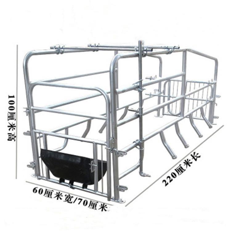 重庆母猪产床落地式母猪产床单体体母猪产床镀锌产床