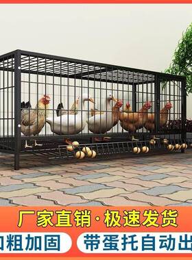 VRK钢不鸽锈猫鸡笼鸡笼子兔铁丝网室外鸭鹅自动大号家笼用笼滚蛋