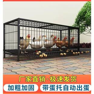 VRK钢不鸽锈猫鸡笼鸡笼子兔铁丝网室外鸭鹅自动大号家笼用笼滚蛋