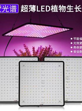 l蔬e植补光灯全光谱仿太40352阳室内物多肉上色月季兰花育d苗菜种植灯