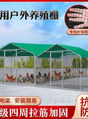 户外鸡棚鸡鸡笼子养鸭建鸽笼禽大型孔家PHO雀篷遮雨鸡舍搭家用养