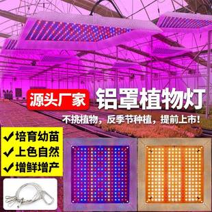 量子板物生长植灯ed反光铝罩薄款 全光l谱大棚植物面补板光灯10SEM