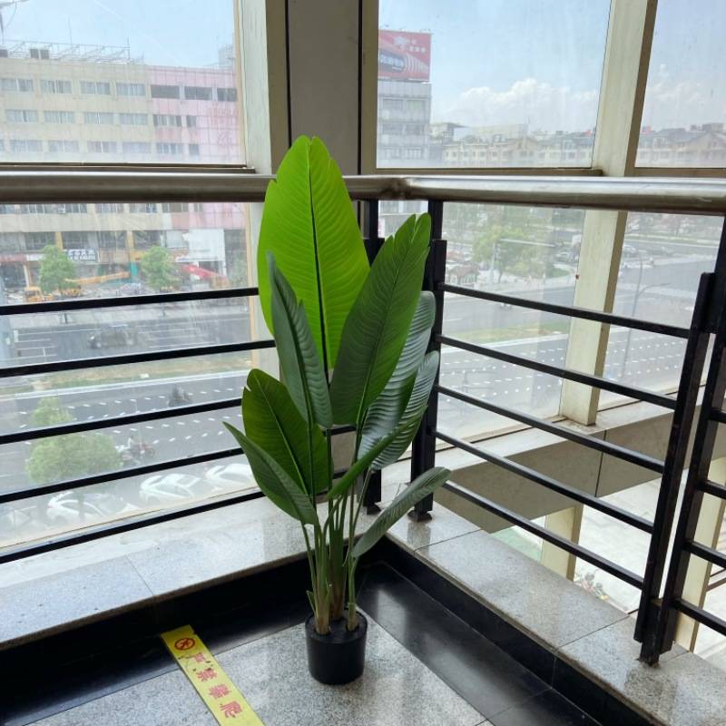 工厂店仿真绿植旅人蕉盆栽大叶子散葵植物造景拍摄道具轻奢装饰摆