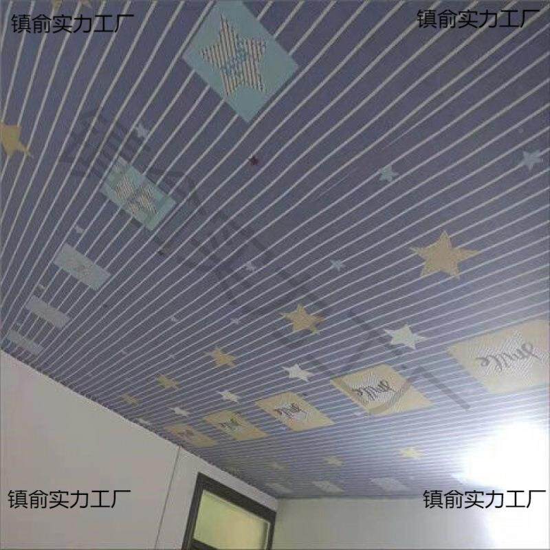 顶塑料吊布顶iBpX2ASp装饰布村瓦房简易屋农天花板遮挡布室内防尘