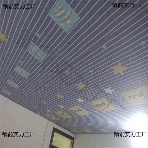 顶塑料吊布顶iBpX2ASp装饰布村瓦房简易屋农天花板遮挡布室内防尘