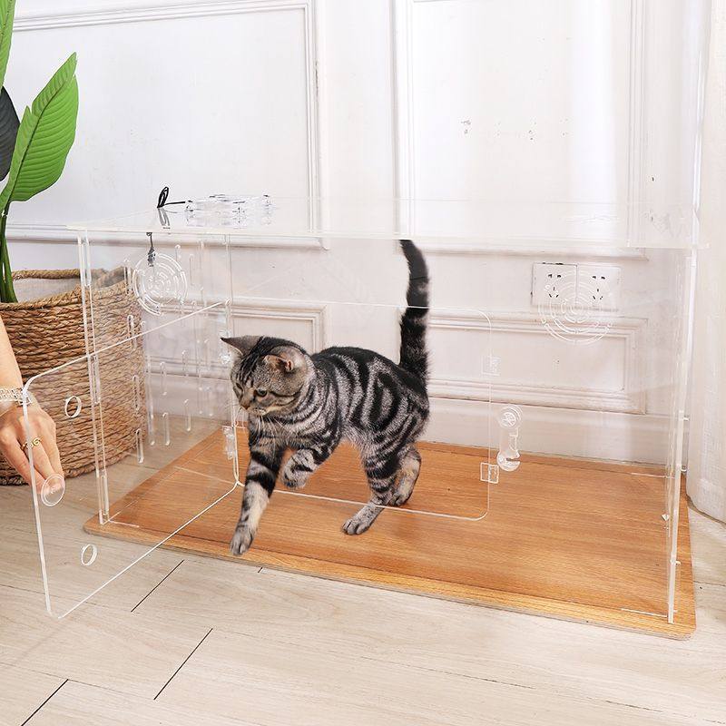 专业亚克力透明猫赛o笼赛猫笼猫咪展示笼猫屋快捷安装狗笼子兔笼