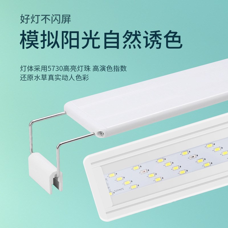 背滤海缸超白桌面小型鱼缸背部过滤免换水客厅水族箱玻璃缸生态缸