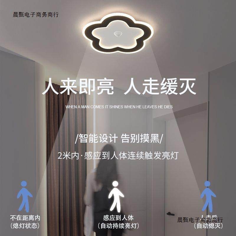 感灯人来即亮人走即体灭入户玄关夜间人ed15过l道灯应走廊灯吸顶