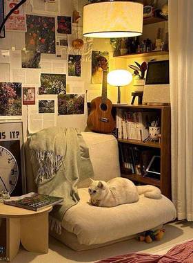 懒人沙发榻榻米VGP单红叠人椅洗可拆客厅卧室可躺可睡网折小沙发