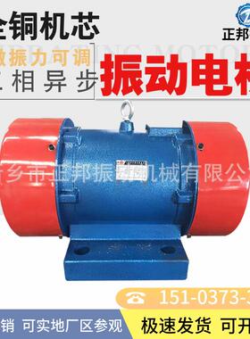 振器ZF卧-25.25K80V0式振动IRS电机高频动振打器化工搅拌电机