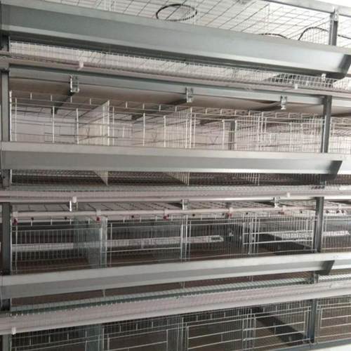 源鸡头厂PMQ成家四层型热镀锌蛋鸡笼自动化养鸡设备笼H子养鸡套设