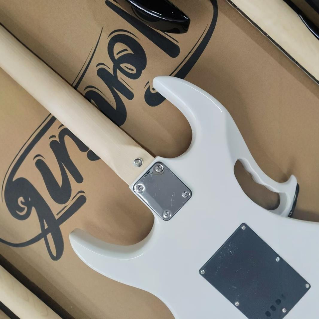 大双21摇手提式电琴吉他杨木体全闭弦钮音科24品封双单双抬器