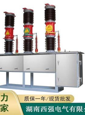 35kv户外z高压ASI真空路器z7w7-40断.5KV陶瓷不锈钢w高原型智能