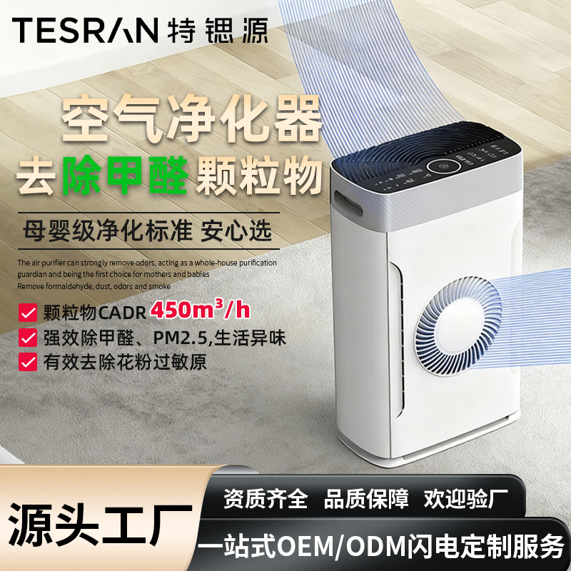 特锶源跨境空气净化器除烟臭味家用除甲醛除味净化机礼品厂家定制
