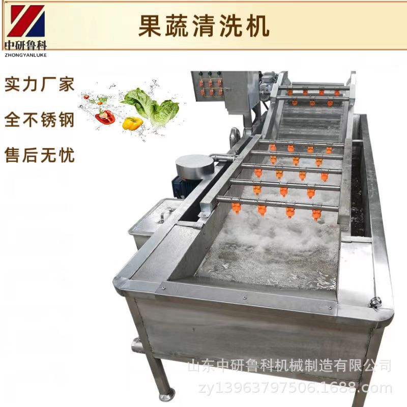 大型餐厅全自动净菜机 不锈钢大型工厂用洗果机 淋喷式果蔬清洗机
