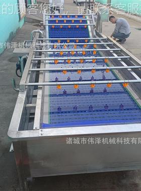 菜全动绿色蔬自菜清洗水线SNX 净菜流加工成套设备 油菜菠气泡清