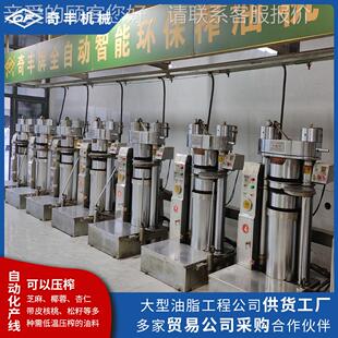 油芝麻香油机生产厂线 全自动无人榨工OEJ压 液机低温压榨榨油机