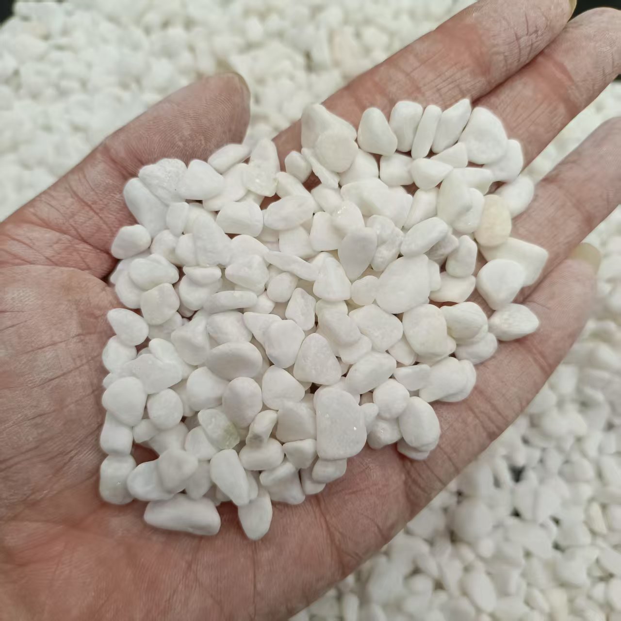 白石子小石子白石子多肉铺面石盆栽花盆造景养花水培白色石子