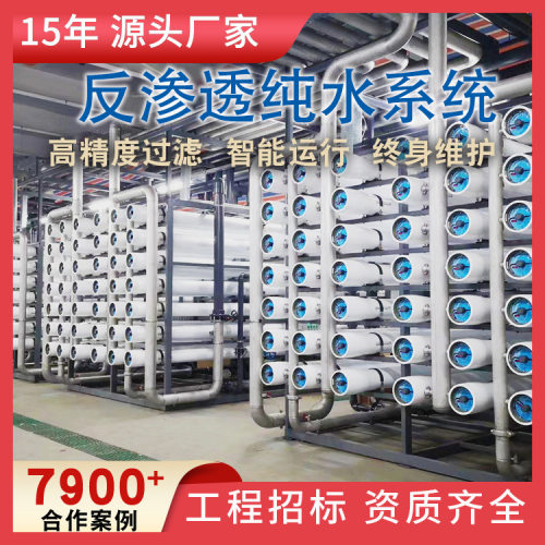 工业净水设备酒水饮料行业反渗透净水机大型高纯水设备