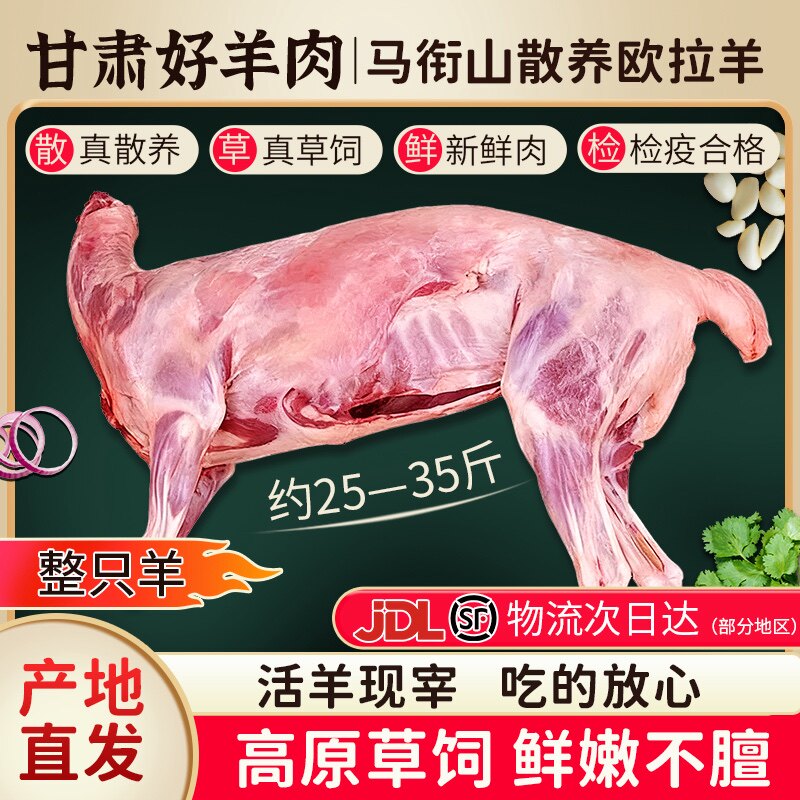 新鲜羊肉整只全羊活羊当日现杀甘肃散养草饲羊羔肉生鲜羊肉包邮