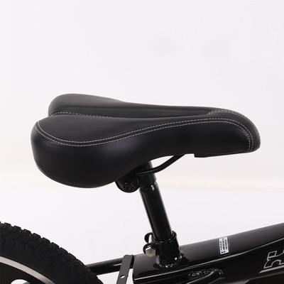 大人平衡滑行车无脚踏自行车18寸家长陪练车教练车成人滑步车20寸