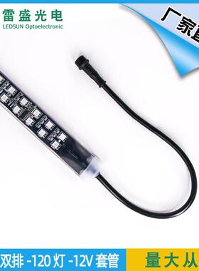LE色D彩双排灯1带0段120灯12V低压灌幻胶全彩变跑马5050双排软灯