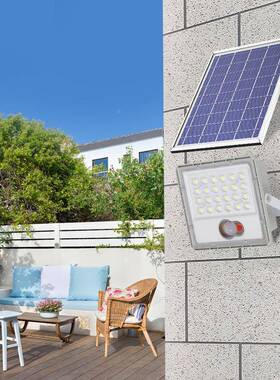 感应灯投光庭家用高亮LE灯D防RN-132水照明路灯新农村户外院超亮