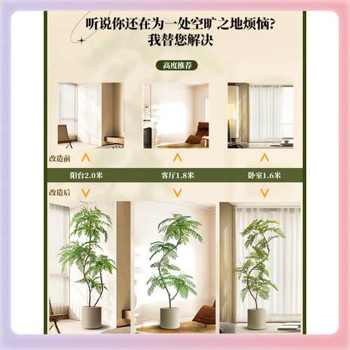 绿植蓝花楹室内型盆栽物大仿生?植假树轻奢客厅装饰品落Fh(h($%p