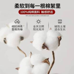 a类母婴级全棉加厚皱皱纱纯棉床单四季通用单子被单枕套三件套女