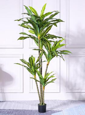 仿真巴西巴西铁室内摆木饰EPD大型绿植盆塑料客厅栽装饰假花摆件