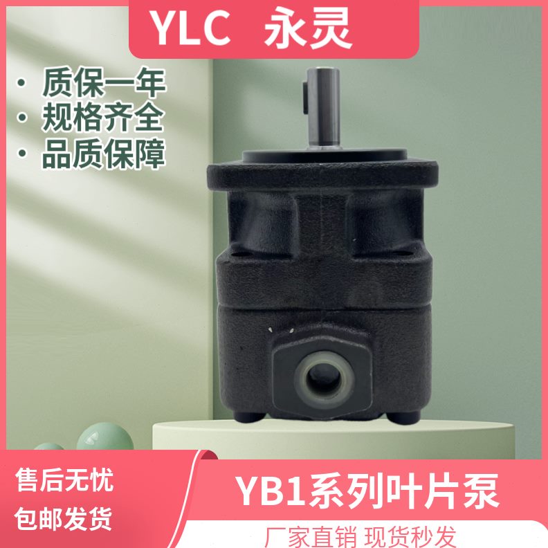 6/1012.5/////103/-/3220254/.0/8/B/165040C012Y5叶片泵Y12/36L/