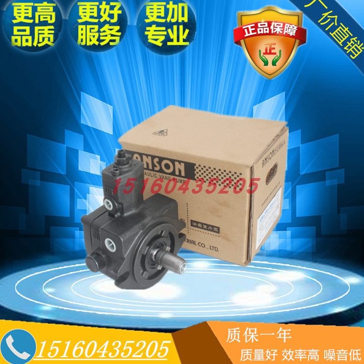 70V//20ON/叶片泵//11-PAS/35安301510//S/-F-1012 NS20/40颂5511