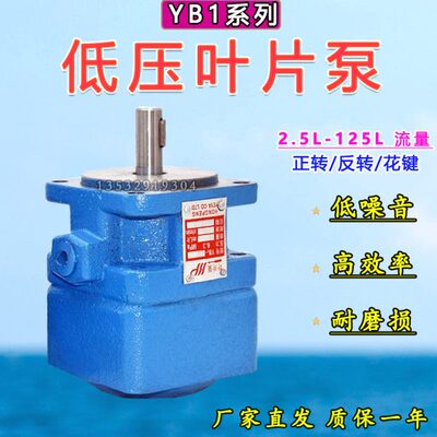 20B12 油泵10   25100 6 车床32叶片泵-  40液压 16 50 43 2.5Y61