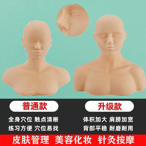 皮肤管理头模特美容院练习脸w部穴位按摩练手法假人光头模型带肩