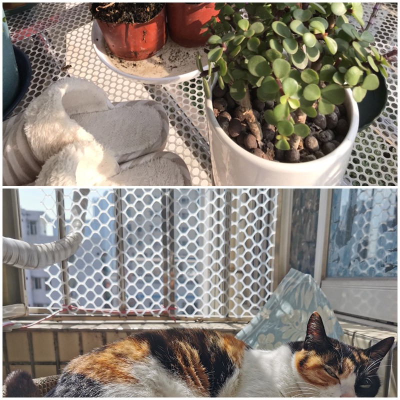 10米塑料漏粪网防护网防盗窗网封阳台网防猫跳鸡舍养鸡鸭鹅围栏网