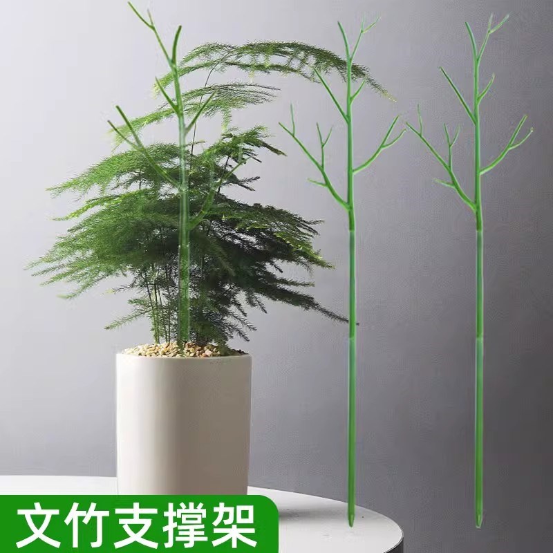文竹支撑架植物固定防倒伏v龟背竹支撑杆绿萝爬藤花架支架园艺造